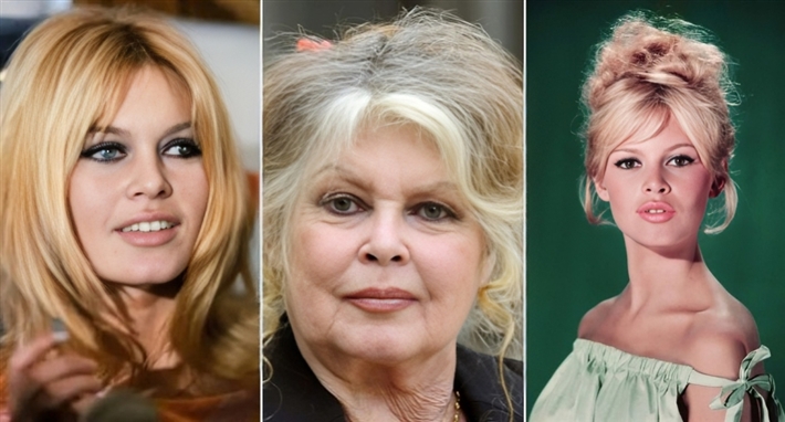 النجمة العالمية الراحلة برجيت باردو