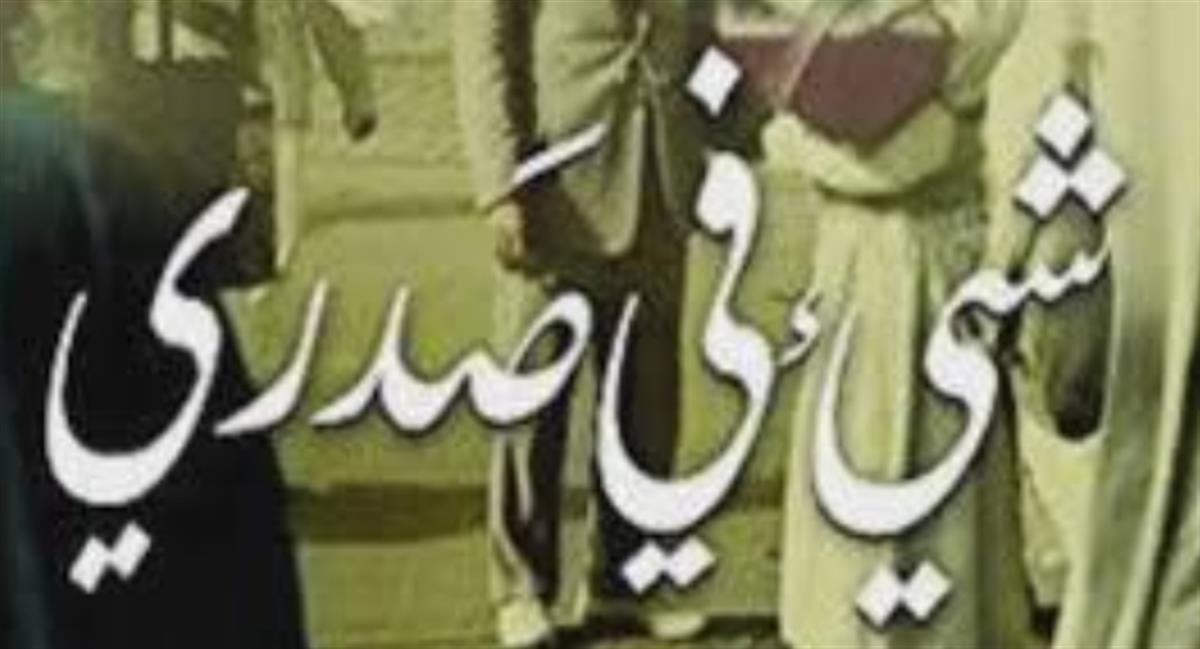 ملصق رواية شيء في صدري