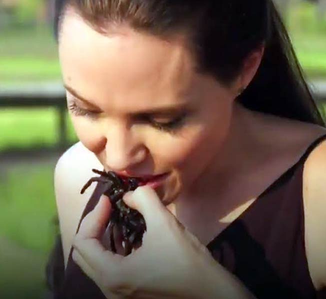 أنجلينا جولي تأكل عنكبوت