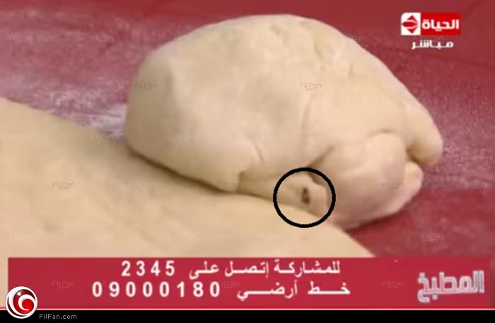 صورة للحشرة وسط العجين