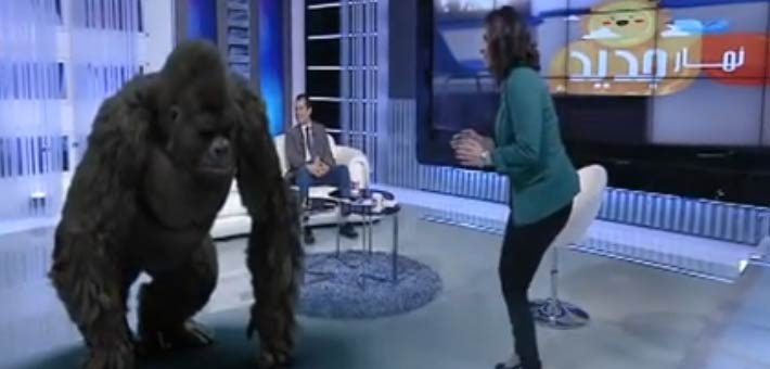 مقدمة برنامج &quot;نهار جديد&quot; داليا أشرف تداعب الغوريلا الافتراضية التي ظهرت في ستوديو البرنامج بدون سياق