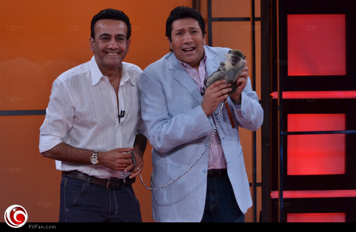 أامة يهدي هاني &quot;قرد&quot;