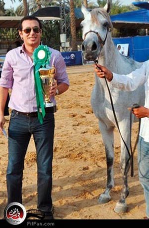 مصطفى والحصان