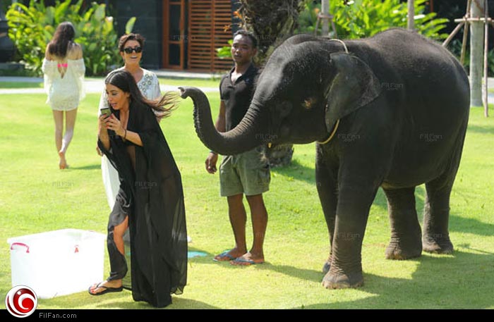 كيم خائفة من الفيلم بعد أن لمس كتفها بخرطومه