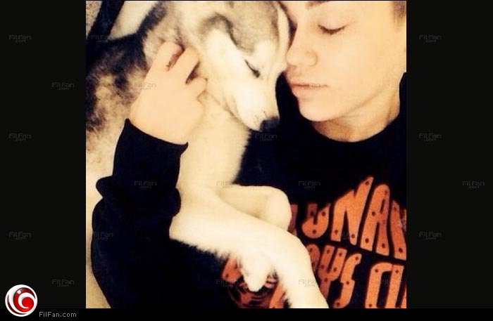 مايلي سايرس تفتقد كلبها الراحل