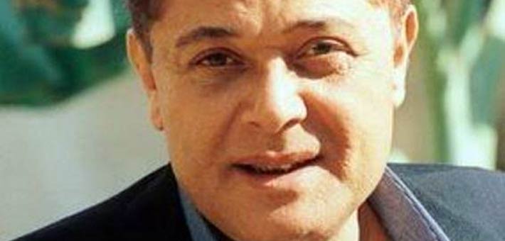 محمود عبد العزيز 