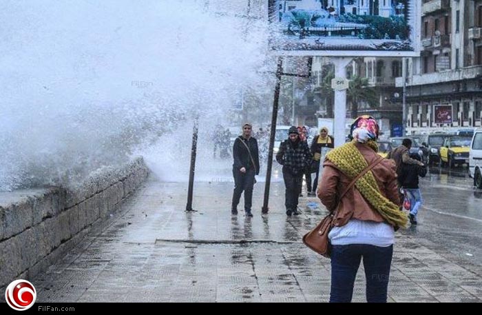 الشتاء في مصر 2015