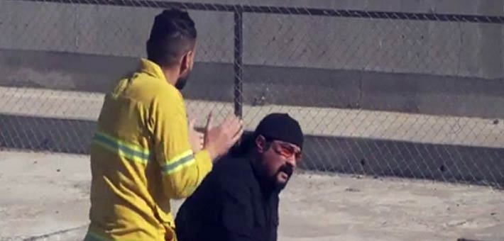 ستيفن سيجال