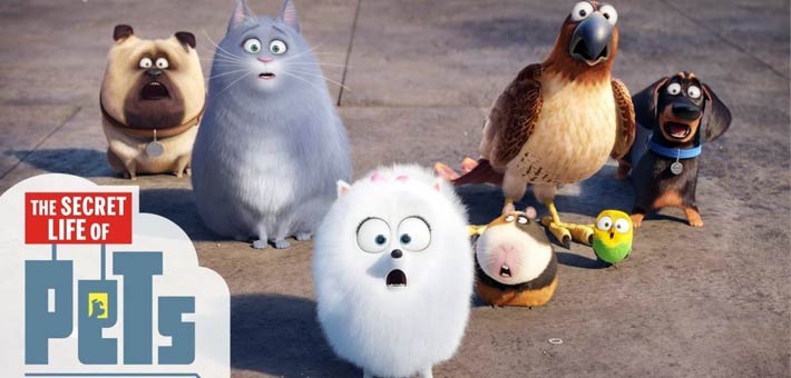 لقطة من فيلم Secret Life Of Pets