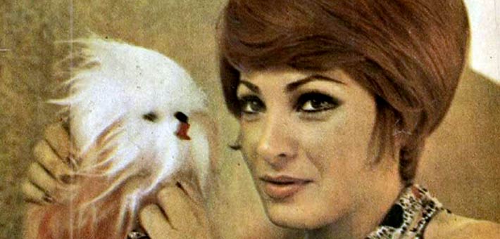 صفية العمري