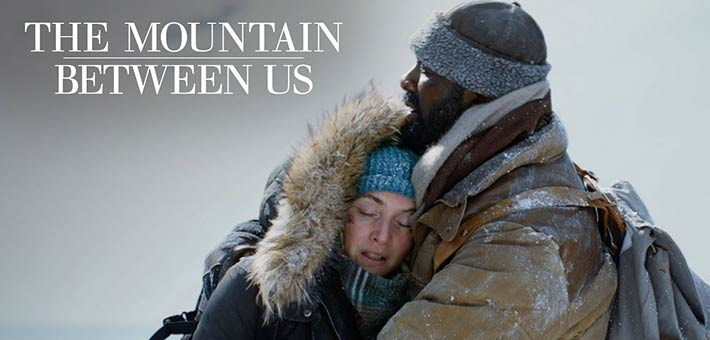 الملصق الدعائي للفيلم 