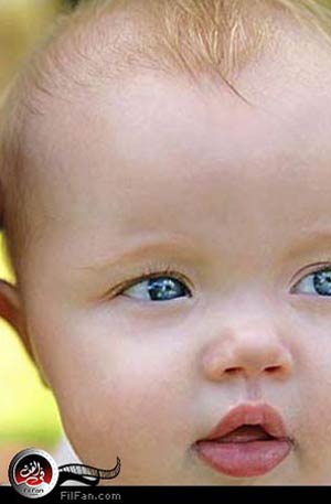 شيلوه نوفيل جولي بيت