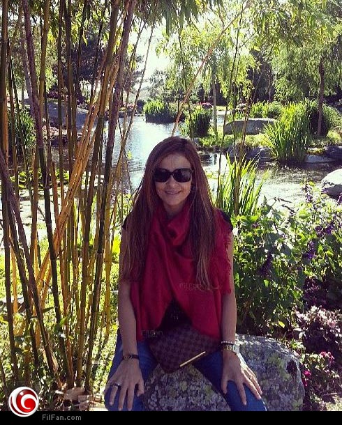 كارول سماحة