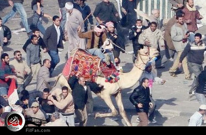 د. عبد المنعم كامل رئيس دار الأوبرا المصرية