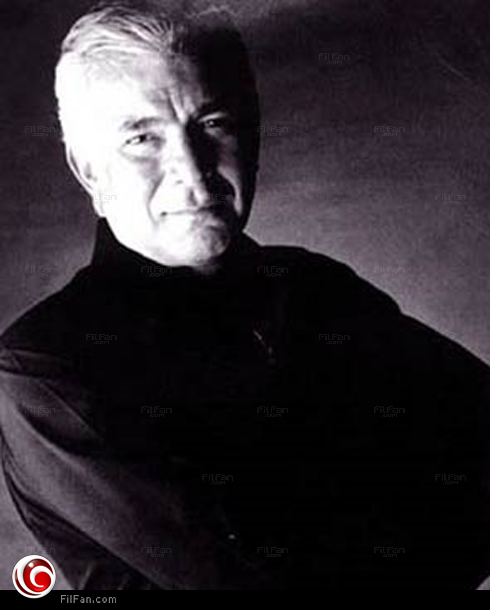 محمود قابيل