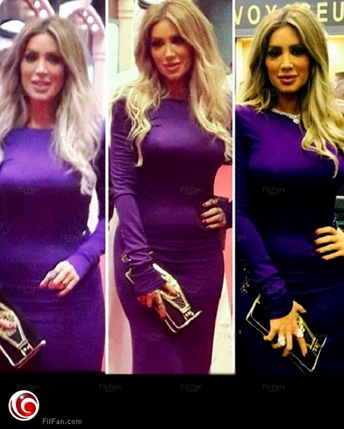 الصورة التي أثارت أسئلة محبي مايا دياب حول حقيقة حملها