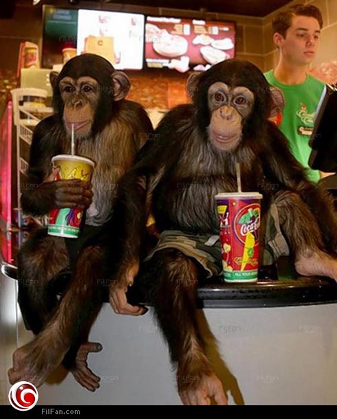 فالي وسوجريف يستعدان لمشاهدة فيلمهما المفضل