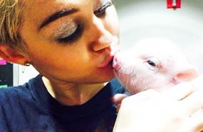 مايلي سايرس