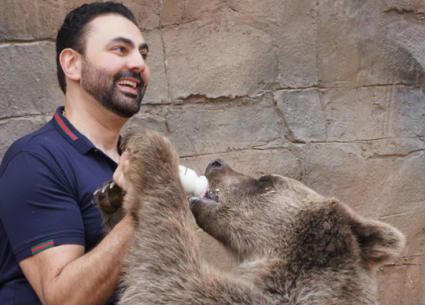 محمد كريم يرضع الدب الصغير