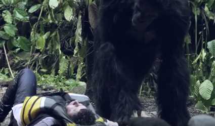 رضا عبد العال