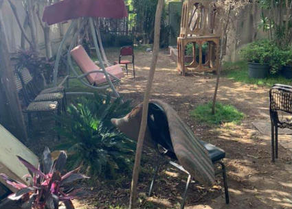 حديقة المنزل 