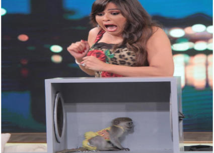 اندهاش ياسمين عبد العزيز بعد لمسها للنسناس