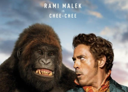 صورة للملصق الدعائي الخاص بداوني جونيور ومالك