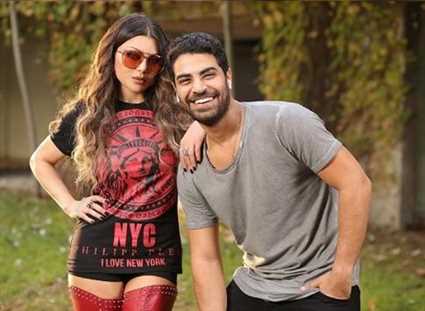 وزيري وهيفاء وهبي