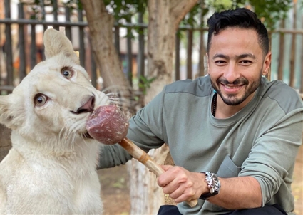 حمادة هلال والأسد