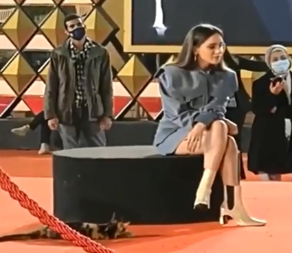 القطة مع مريم الخشت