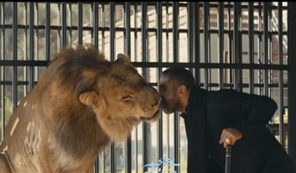 أمير كرارة يطعم الأسد