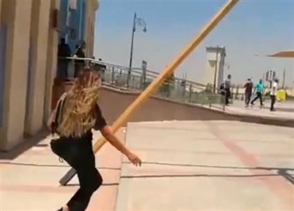 دينا الشربيني