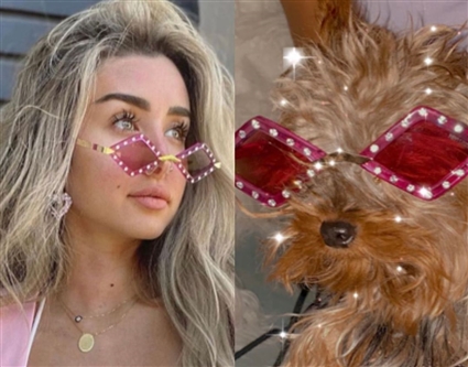 هنا الزاهد وزيزي