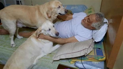 توفيق عبد الحميد مع كلابه