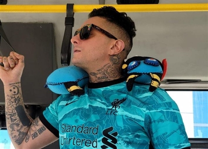 أحمد الفيشاوي