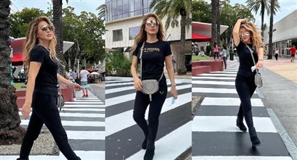 نوال الزغبي