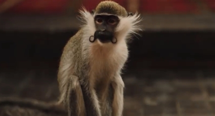 الكبير بعدم تحول إلى قرد