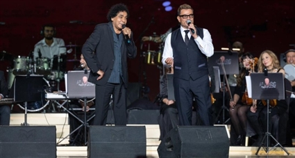 عمرو دياب ومحمد منير