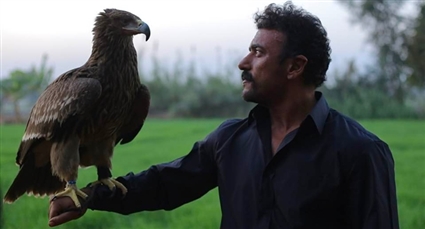 أحمد العوضي