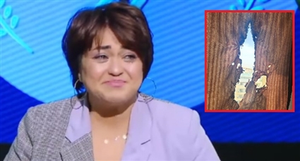 مروة عبد المنعم