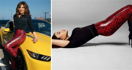 هيفاء وهبي ونجوى كرم