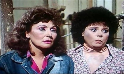 بكيزة وزغلول