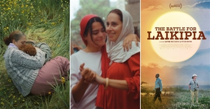 أفلام مهرجان الجونة