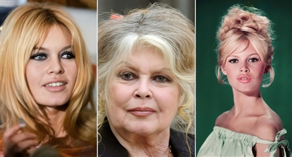 النجمة العالمية الراحلة برجيت باردو