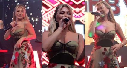 من حفل نوال الزغبي بمناسبة العام الجديد 2026 بمصر 