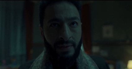 حمادة هلال في المداح