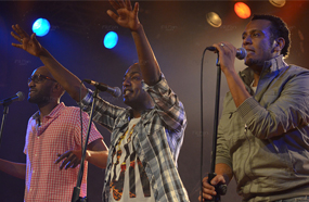 أعضاء الفريق