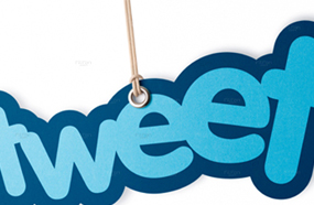 عالم الفن في أعين 