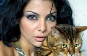 هيفاء وهبي تشارك في أغنية &quot;القطة&quot; لسامو زين