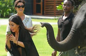 كيم خائفة من الفيلم بعد أن لمس كتفها بخرطومه